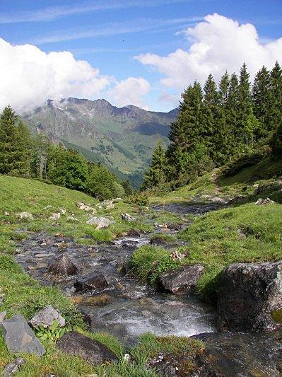 08-ruisseau du Lisey 1