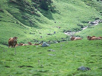 12-plateau du Lisey 4