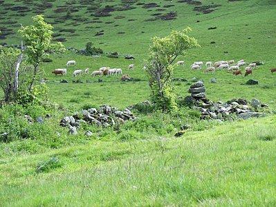 13-plateau du Lisey 5