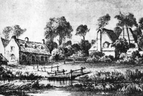 Les espaces verts lillois.