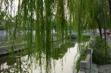 2007-11-zhouzhuang-81