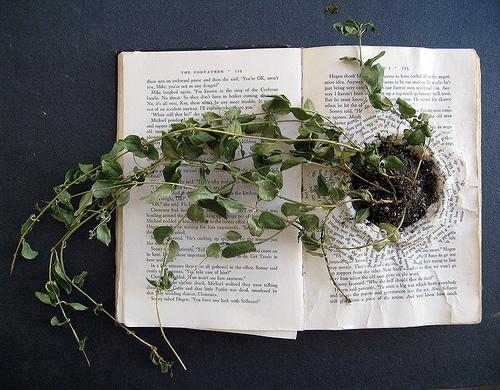 concordance et antagonisme dans un même bateau