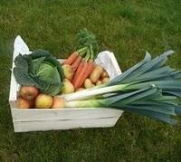 Comment s'y retrouver dans l'univers du Panier Bio ?