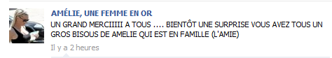 Sur Facebook entre les fans d'Amélie et de Julie c'est la guerre ! (Les Anges de la télé réalité)