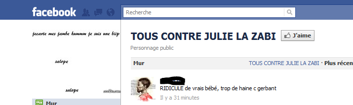 Sur Facebook entre les fans d'Amélie et de Julie c'est la guerre ! (Les Anges de la télé réalité)