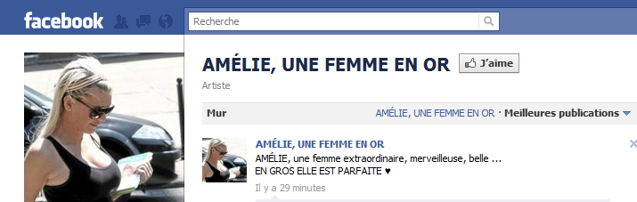 Sur Facebook entre les fans d'Amélie et de Julie c'est la guerre ! (Les Anges de la télé réalité)
