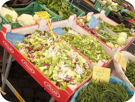 Salades_campo_dei_fiori