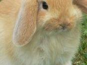 Tiens, faisait longtemps...