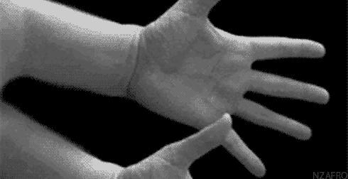 la croisière s'amuse- service réunifié