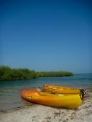 Kayak dans la mangrove - Sine Saloum