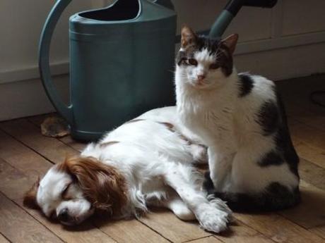 Nono (game over) soi 047.jpg