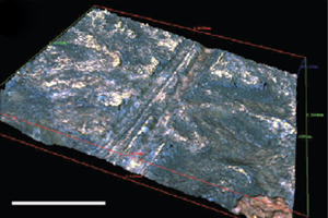 modèle 3D de marques d'incision sur la partie pariétale d'un crâne, Bello et al.