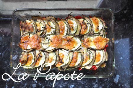 Tian_de_l_gumes___la_mozzarella