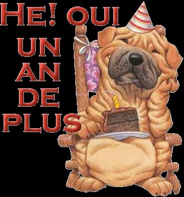 C'est mon anniversaire !!!!