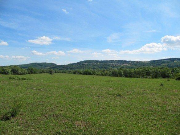 À Pagny-sur-Moselle, une marche sympa !