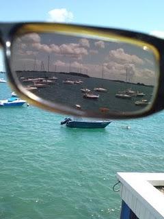 Et pourquoi pas quelques jours dans un aquarium ?