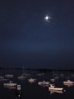 Et pourquoi pas quelques jours dans un aquarium ?