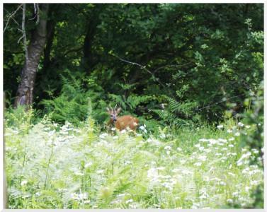 Au détour d’un chemin