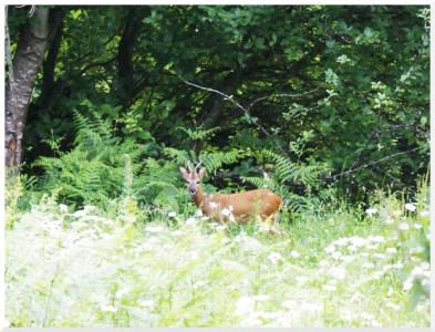 Au détour d’un chemin