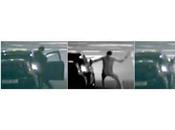 homme s'attaque voleur voiture