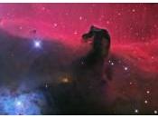 jamais ressenti frisson?