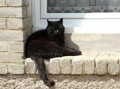 Pêle-mêle dominical