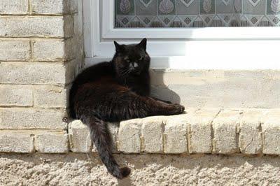 Pêle-mêle dominical