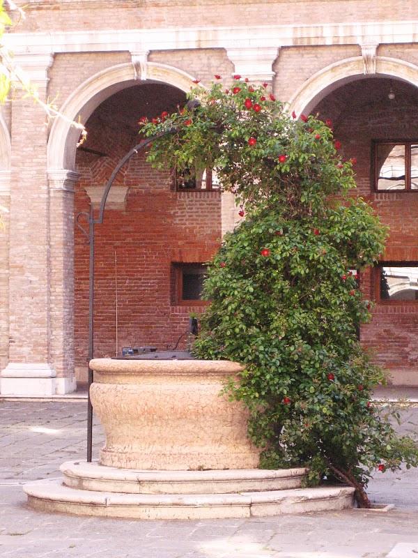 Puits de l'ancien couvent de San Nicolo da Tolentino