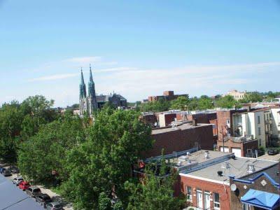 News from Montréal : mon 1er doggy bag et vue à 180° sur le toit