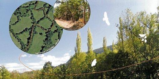 Les haies ont de multiples fonctions, notamment pour la faune.