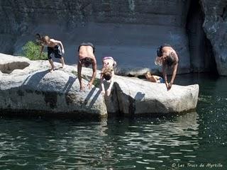 Rats de ville et rats des champs (avant-goût de vacances)