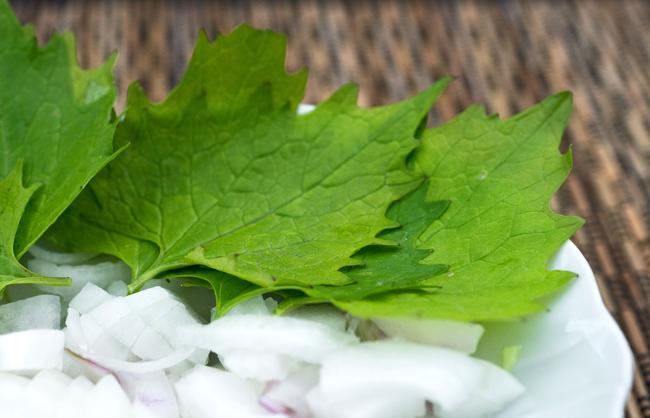 La fin de l'été, le début de l'automne, et les herbes