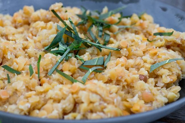 La fin de l'été, le début de l'automne, et les herbes