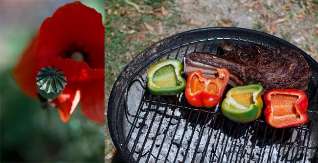 La fin de l'été, le début de l'automne, et les herbes