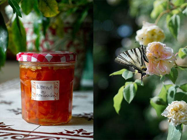 La fin de l'été, le début de l'automne, et les herbes