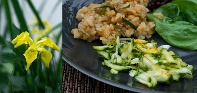 La fin de l'été, le début de l'automne, et les herbes