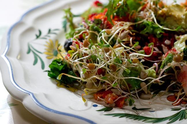 La fin de l'été, le début de l'automne, et les herbes