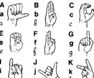 Lingueo et la langue des signes