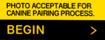 Pedigree et la reconnaissance faciale Pedigree et la reconnaissance faciale