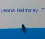 mouche surfe internet