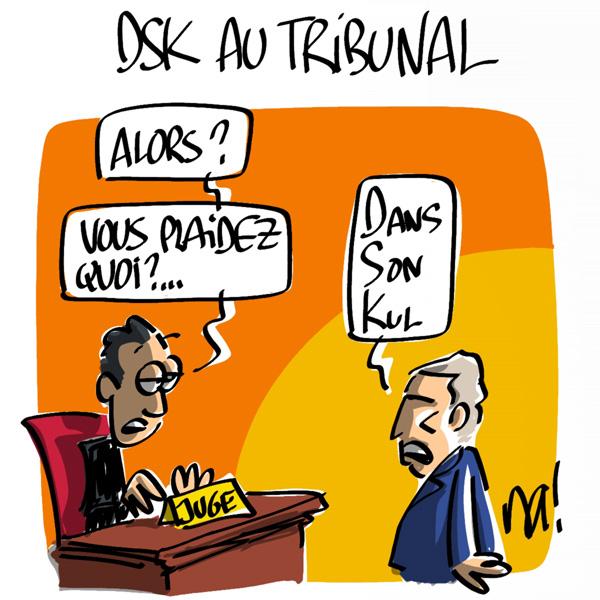 http://www.dessinateur.biz/blog/wp-content/uploads/2011/06/753_DSK_tribunal.jpg