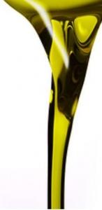 Un filet d’huile d’olive, chaque jour, peut éviter l’AVC – Neurology