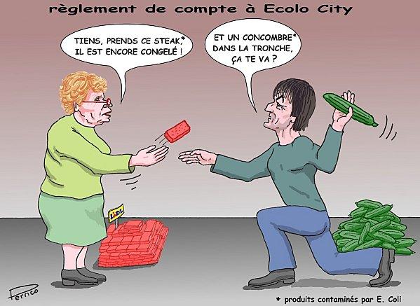concombre-16-juin-2011.jpg