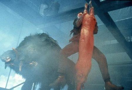 razorback_1984_reference