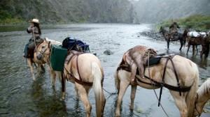 Critique Cinéma : This Way Of Life