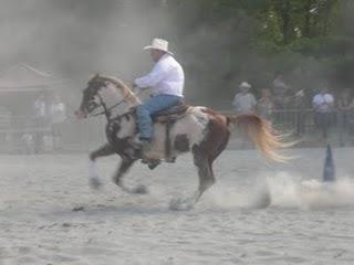 6eme festival contry 2eme