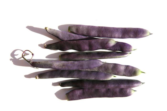 Haricots mangetout purpiat