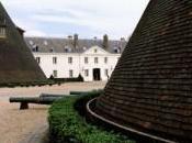 fromage blanc herbes d’Alexandre