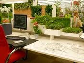 Placez plantes votre bureau pour réduire stress travail