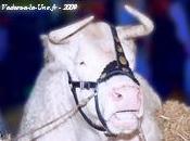 Aide-toi ciel t’aidera